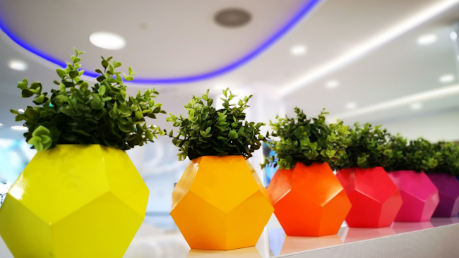 Ornamental Plant Hero