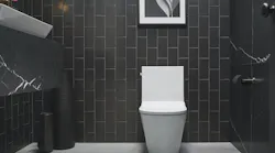 2201APLDBB Kohler Brazn2