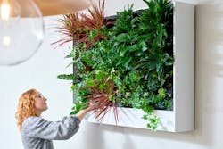 1656022570284 Growupgreenwall 1656022570284 Growupgreenwall