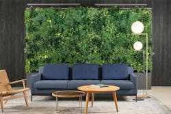 1656022597697 2109apprfmznature07 1656022597697 2109apprfmznature07