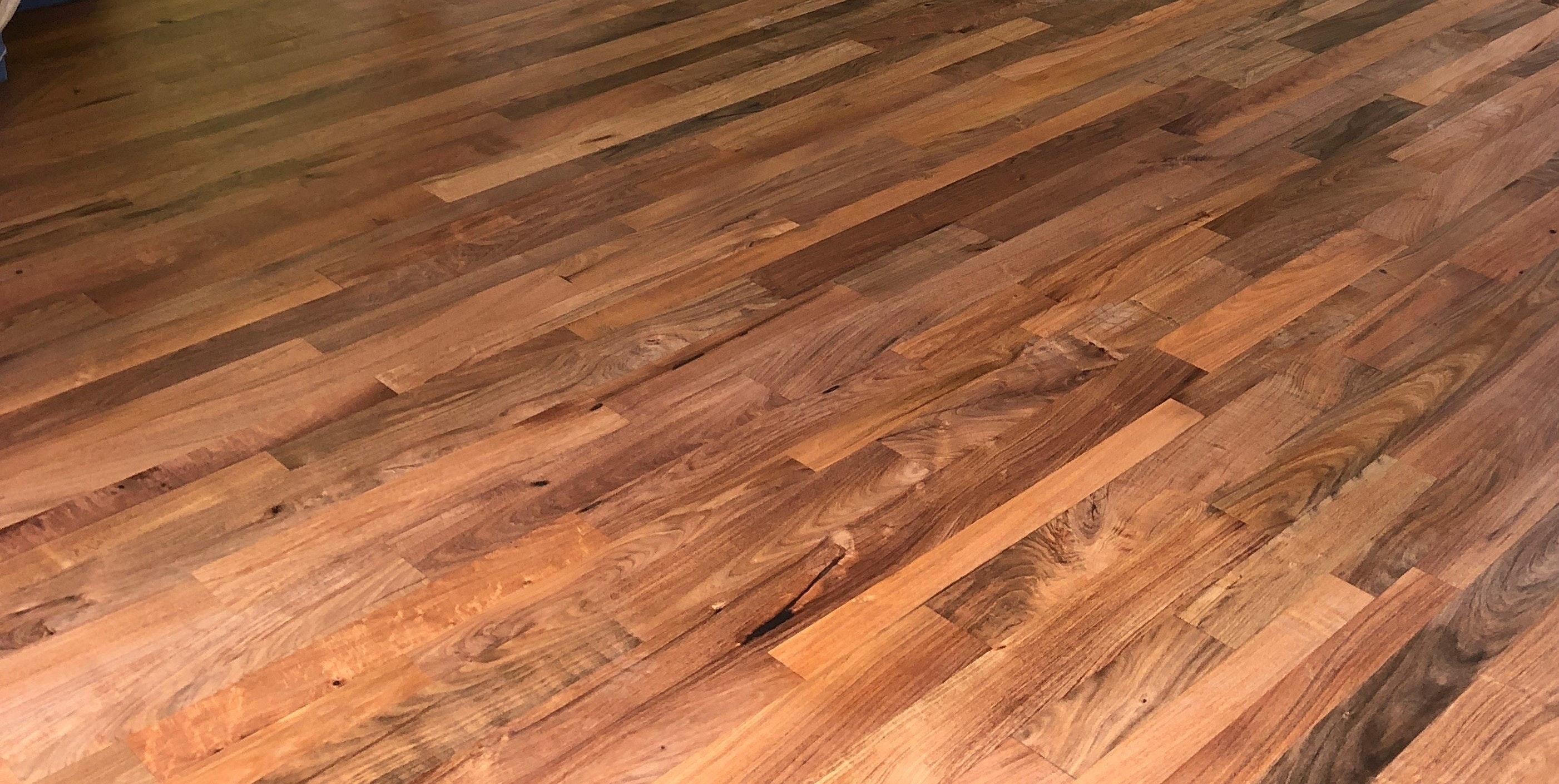 1656022602558 2109apprfmznature05