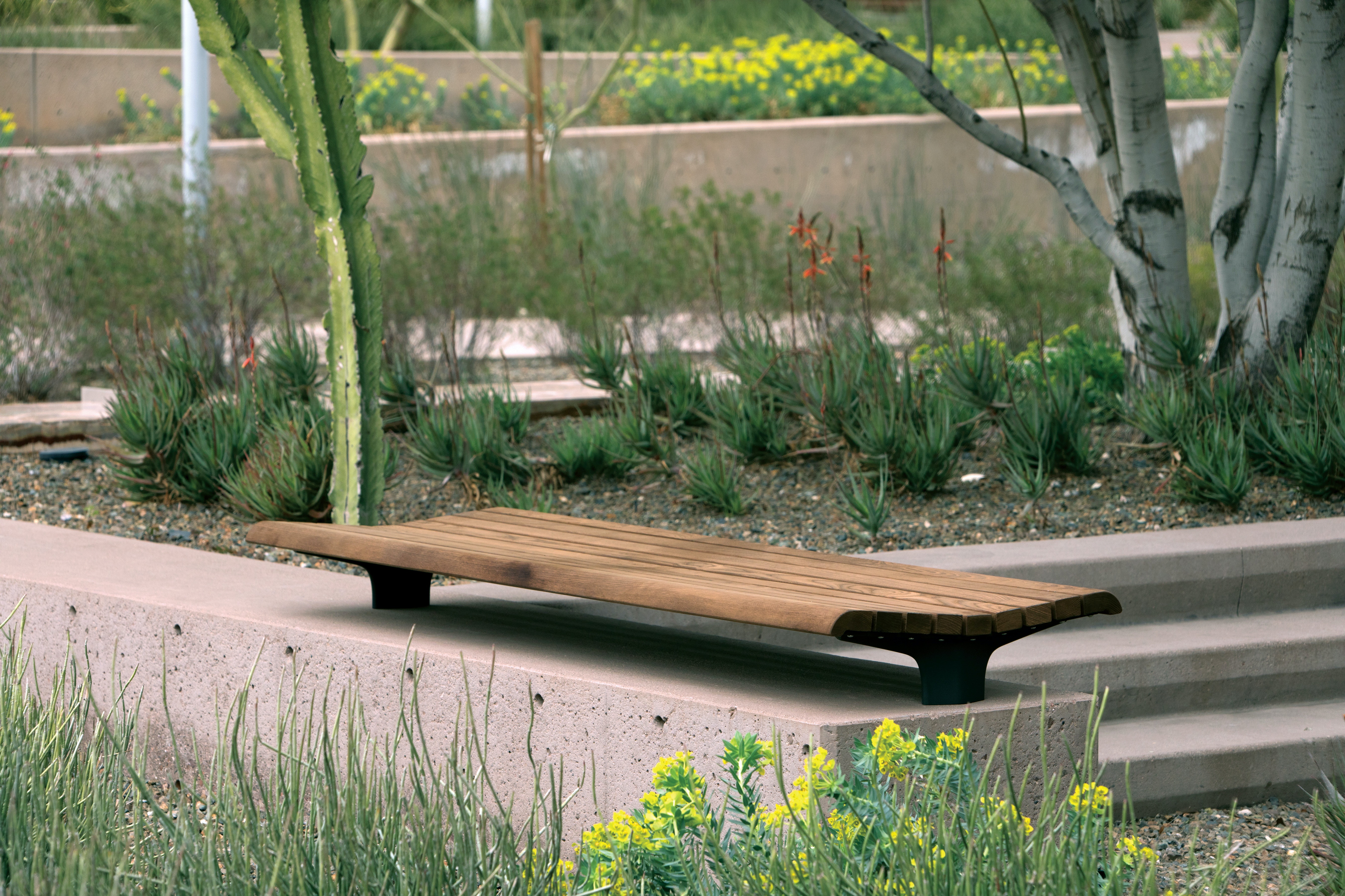 1656089346982 2001apprdjc01e