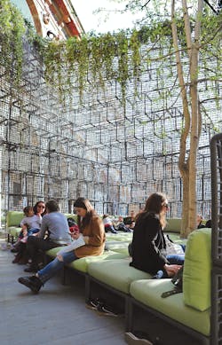 1656089385014 2004apprdjc02nardi Regeneration 105 1656089385014 2004apprdjc02nardi Regeneration 105