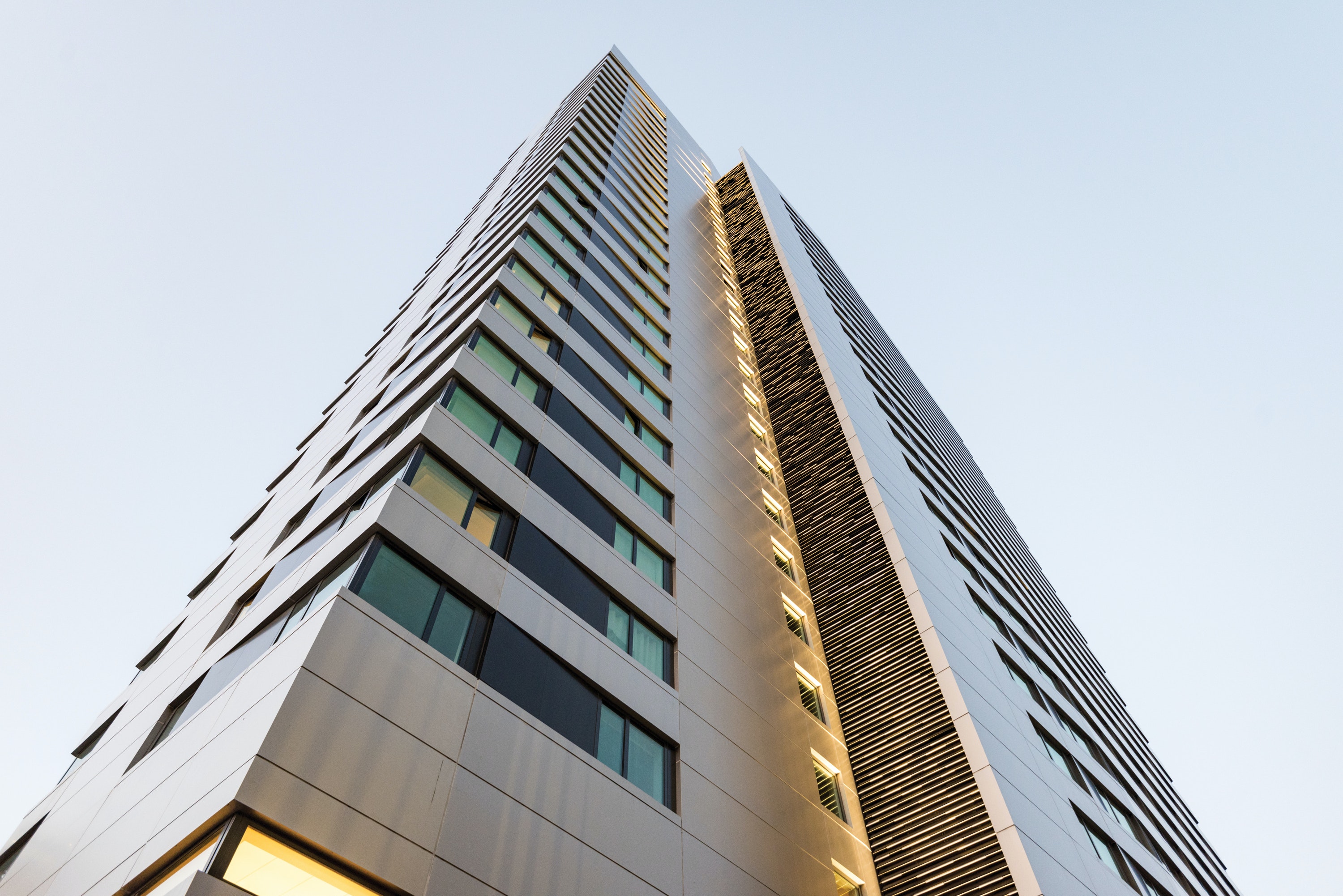 1903NZBBB PPG Cornell1