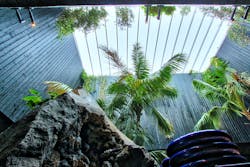 1656089782280 1906apsps01a 1656089782280 1906apsps01a