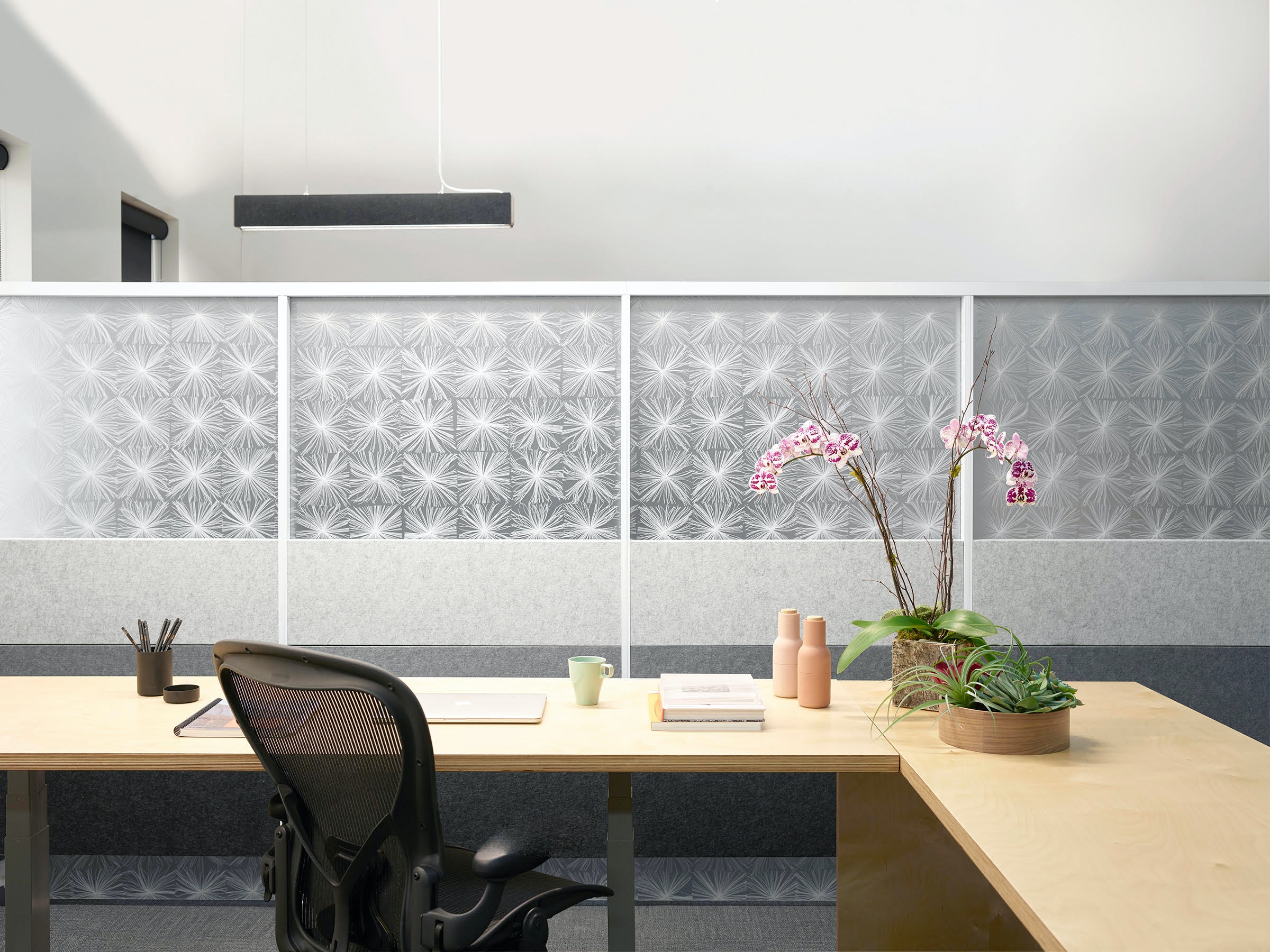 1656090129295 1904apnewmm01g