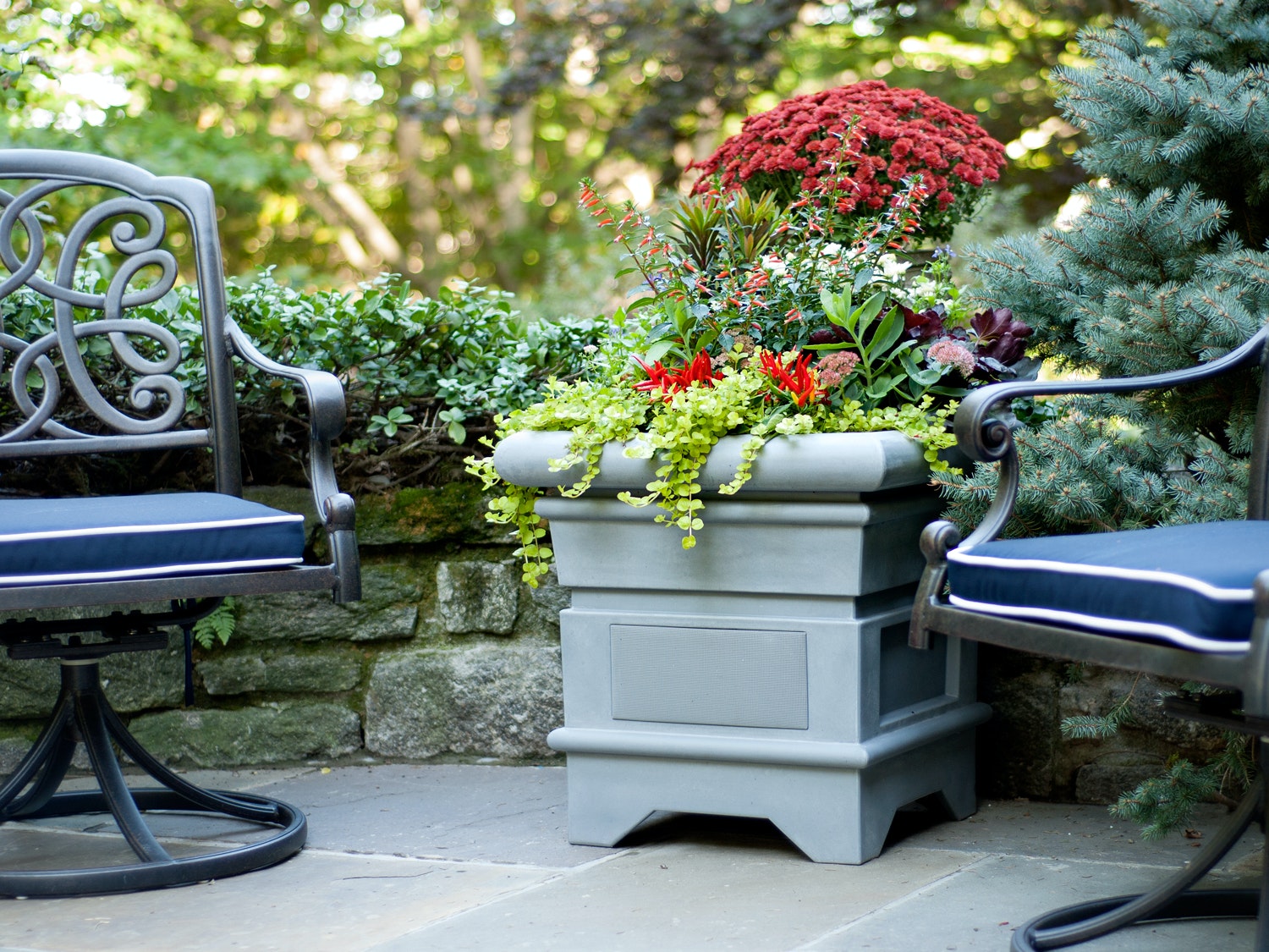 1656090836786 1804apprfmm04c