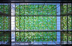 1656091094627 1803apprdmm10 1656091094627 1803apprdmm10