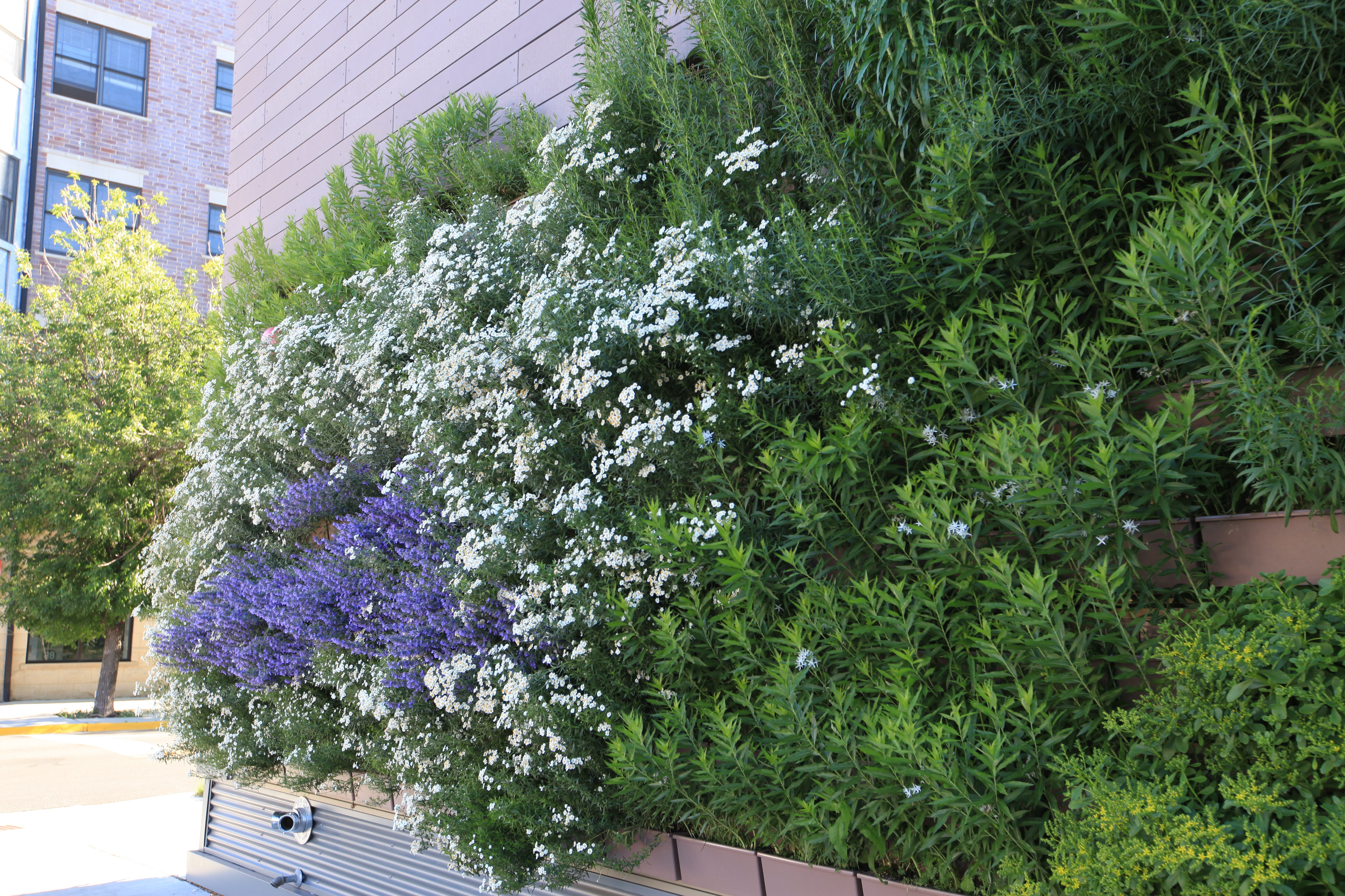 1656091262769 1801apnewcr08b