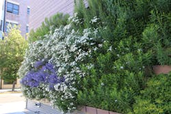 1656091262769 1801apnewcr08b 1656091262769 1801apnewcr08b