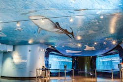 1656111560825 1603 Ap Sps 03e 1656111560825 1603 Ap Sps 03e