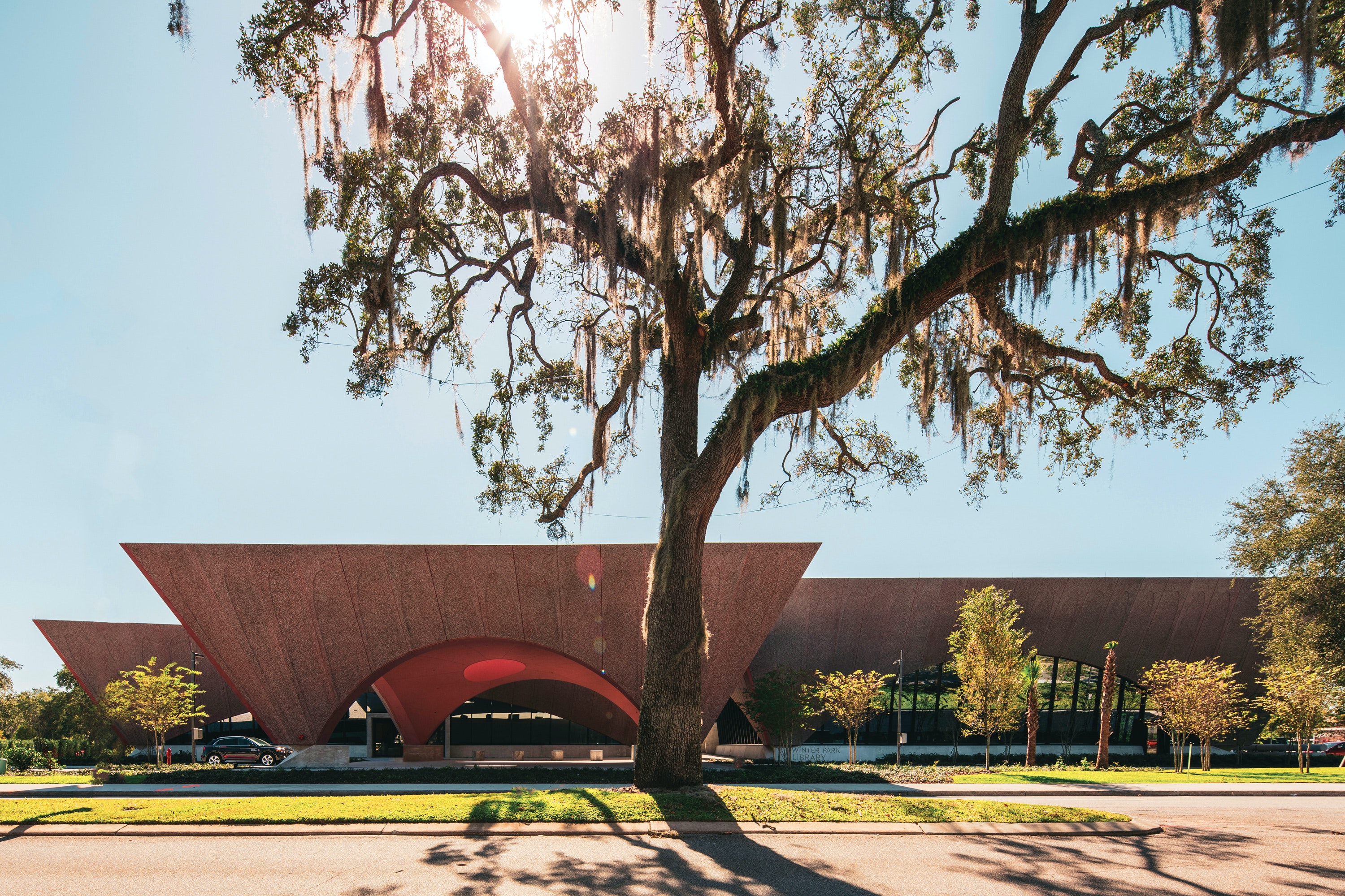 WP Library_ (C) Ivane Katamashvili