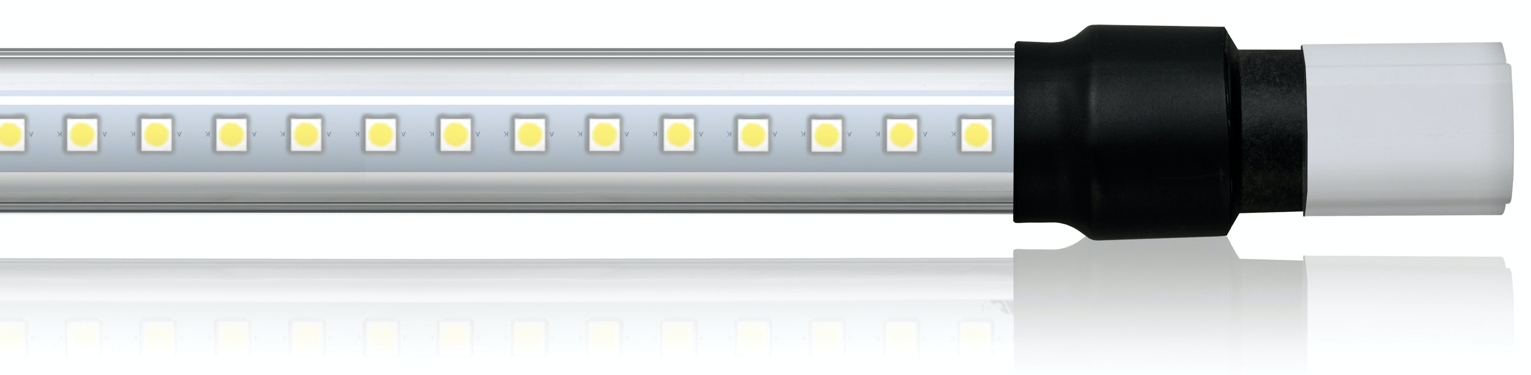 2205APPRD-G&G Lighting_WPX Series