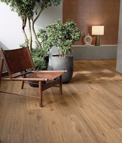 2205 Apnewhr11 Elisir Royal 4 6333368729ad4 2205 Apnewhr11 Elisir Royal 4 6333368729ad4