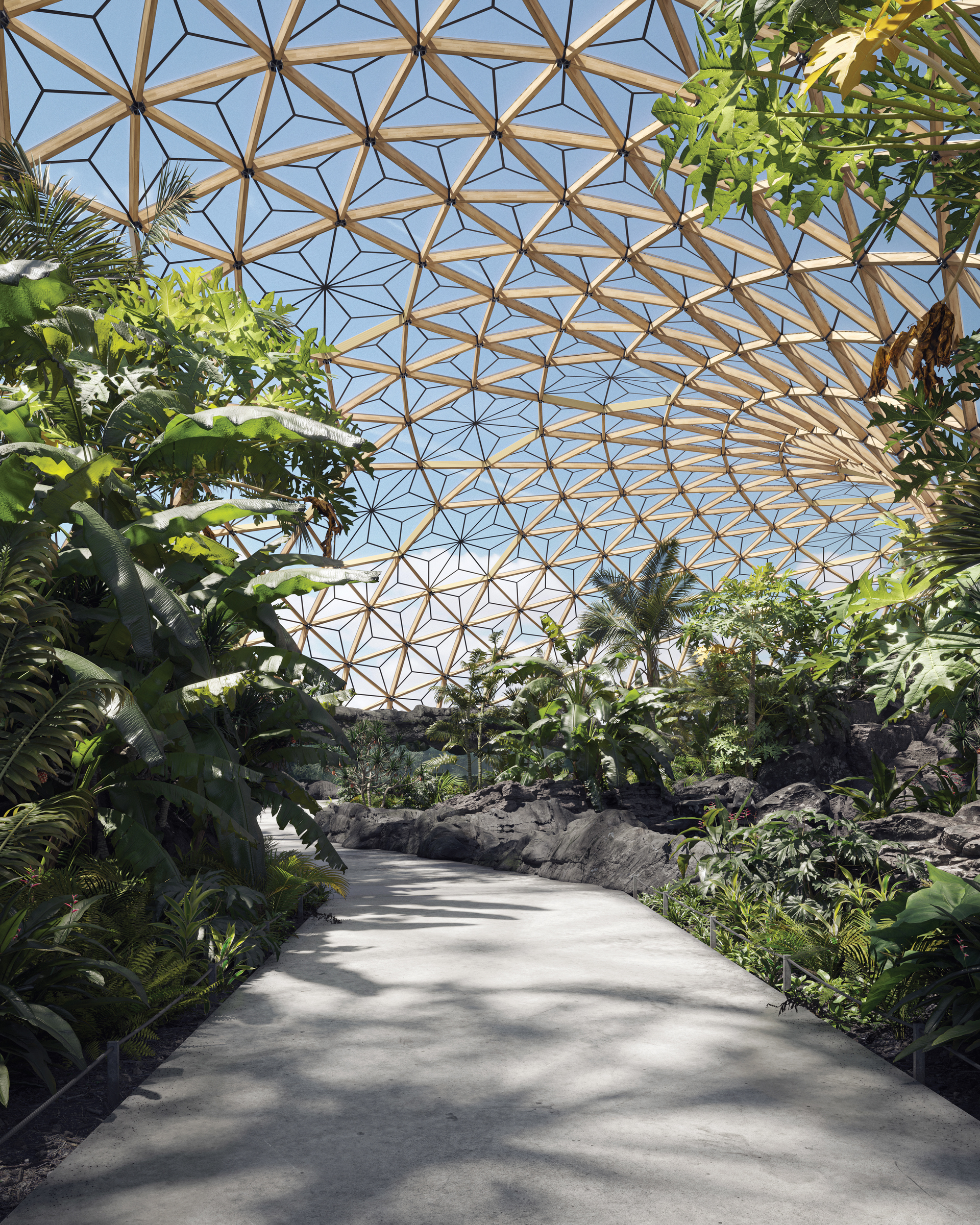 Tensile Architecture Transparent Membrane Daylighting