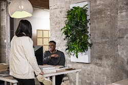 2021 02 24 Biome Office Img 0914 63d195b9ae9f6 2021 02 24 Biome Office Img 0914 63d195b9ae9f6