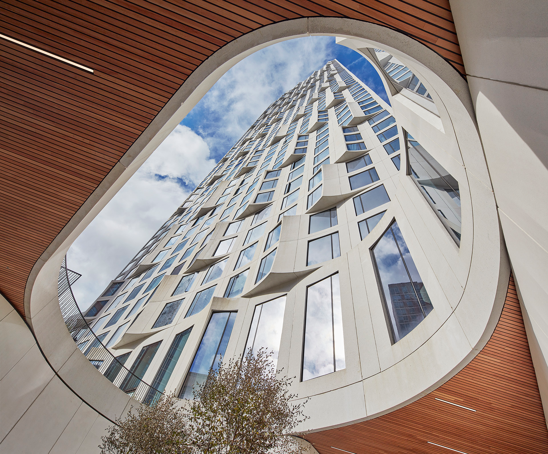 11 Hoyt (c) Tom Harris