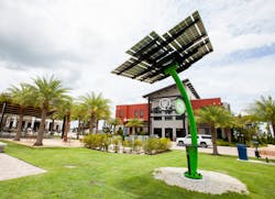 20170711 Babcock Solar Trees 0231 63e3cd8a76ff6 20170711 Babcock Solar Trees 0231 63e3cd8a76ff6