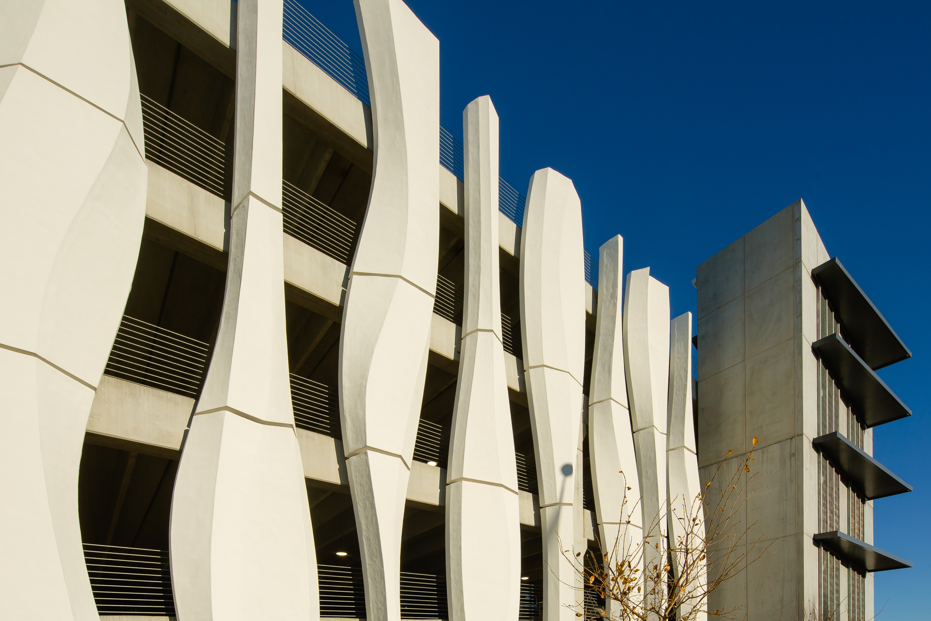 The construction-tech company&mdash;Branch Technology&mdash;combines industrial robotics, geometry-based algorithms, and a novel &ldquo;freeform&rdquo; extrusion system to enable unprecedented design freedom and resource efficiency for construction projects, including 3D printing fa&ccedil;ades for commercial buildings.