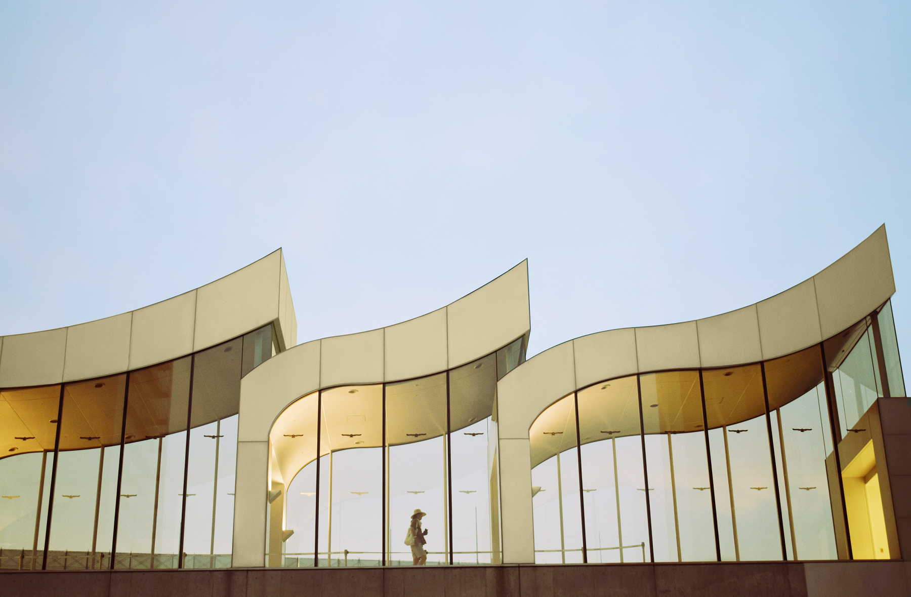 2301 Apppdbb Wild Wonder2 64245bdb5b12c