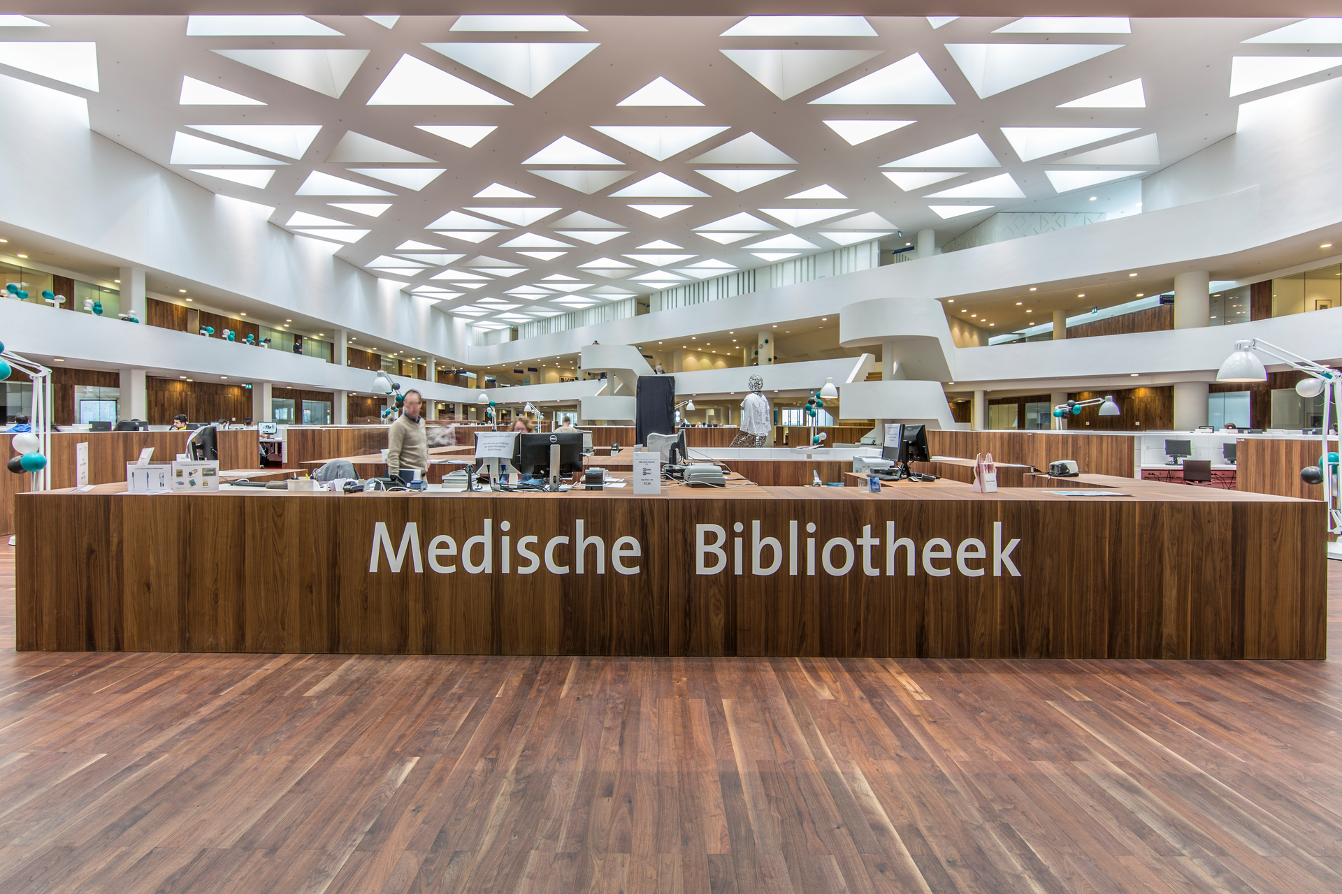 Erasmus 6421a6adb21be