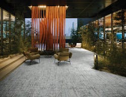 Above And Below Biotope 939 Cover Room 64dd0f178d107 Above And Below Biotope 939 Cover Room 64dd0f178d107