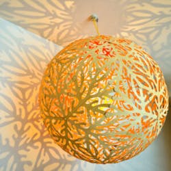 Sola 0006 300x300 64da802588cf5 Sola 0006 300x300 64da802588cf5