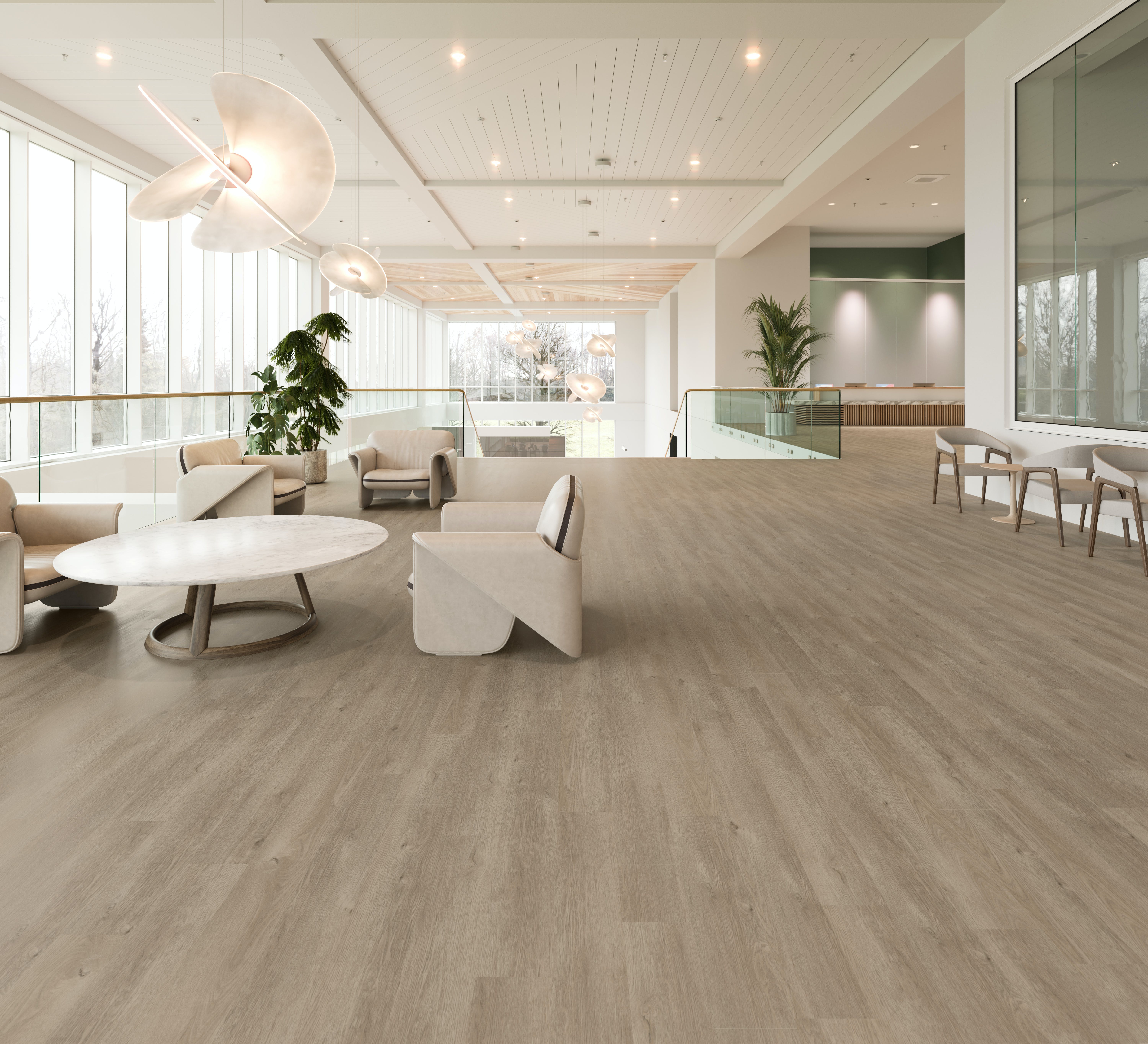 Proxy Collection in Andara Oak