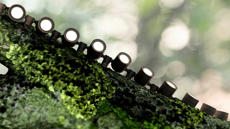 CATIRPEL Outdoor Lighting System