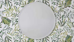 Bontanicus Reef Emerald Art Glass Mural Bontanicus Reef Emerald Art Glass Mural