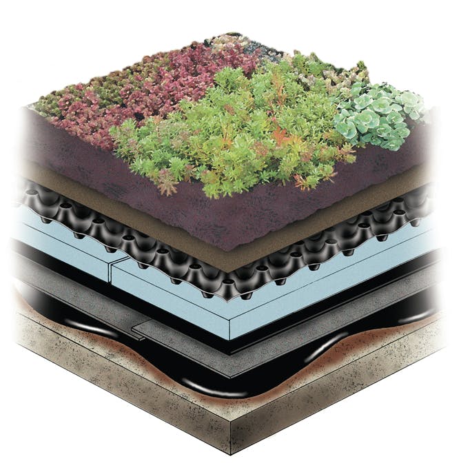 Garden Roof Assembly