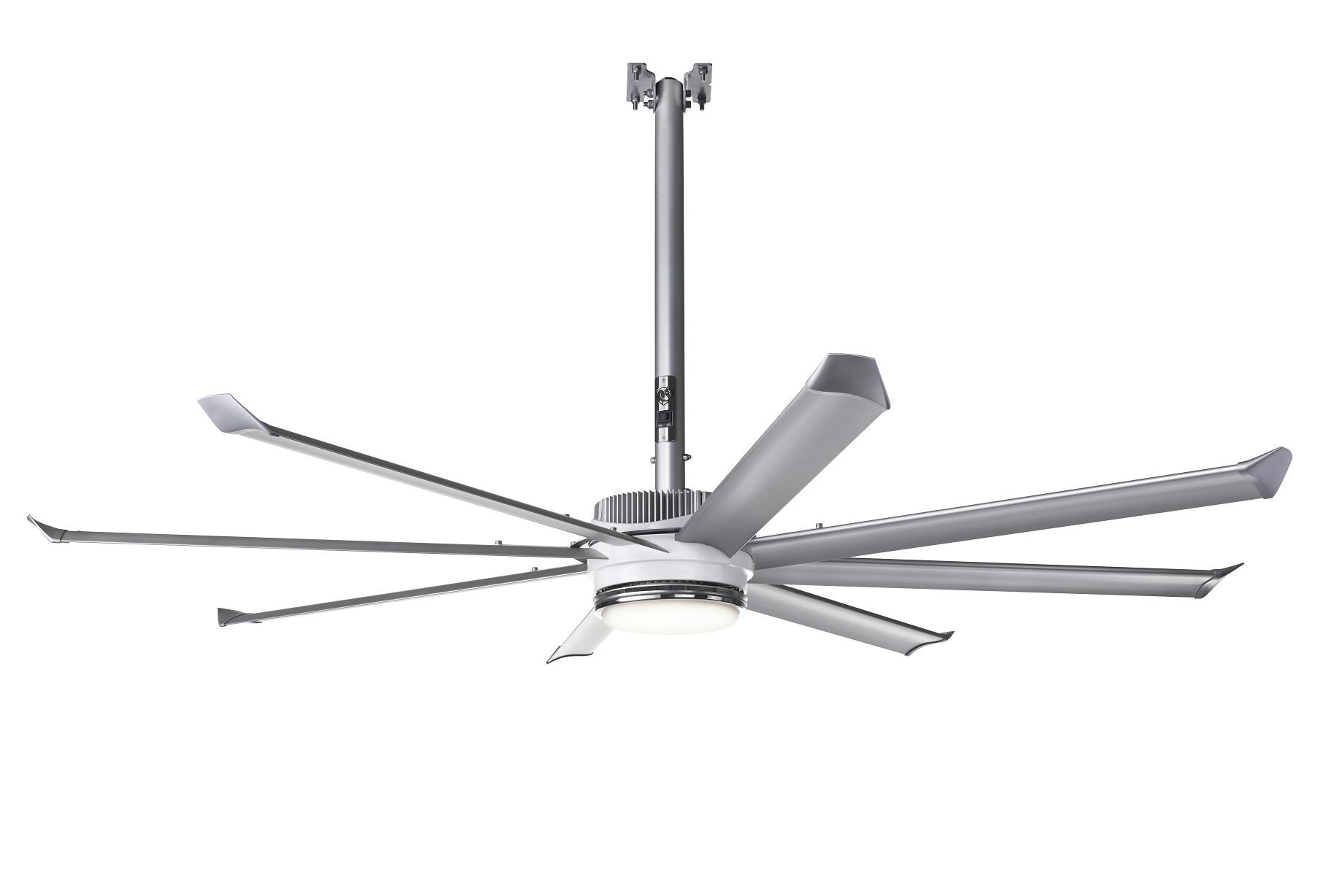 Essence Ceiling Fan