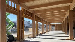 TerraLam CLT Panels TerraLam CLT Panels