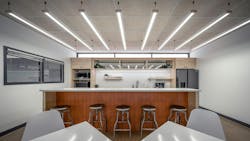 Low-Carbon Biodegradable Luminaire, Lightly Low-Carbon Biodegradable Luminaire, Lightly