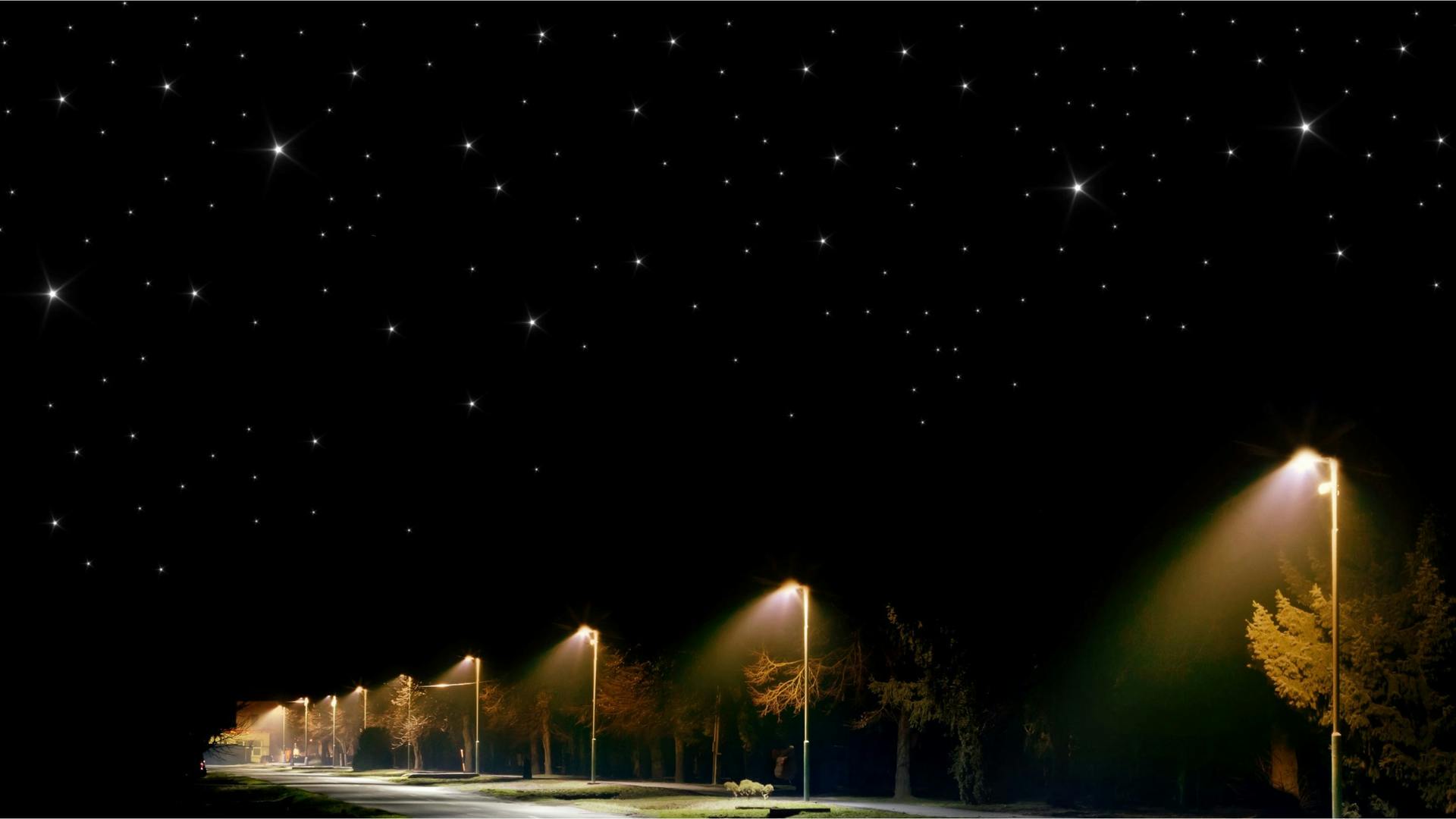 Blue light from LEDs can disrupt the health of nocturnal wildlife and contribute to light pollution.