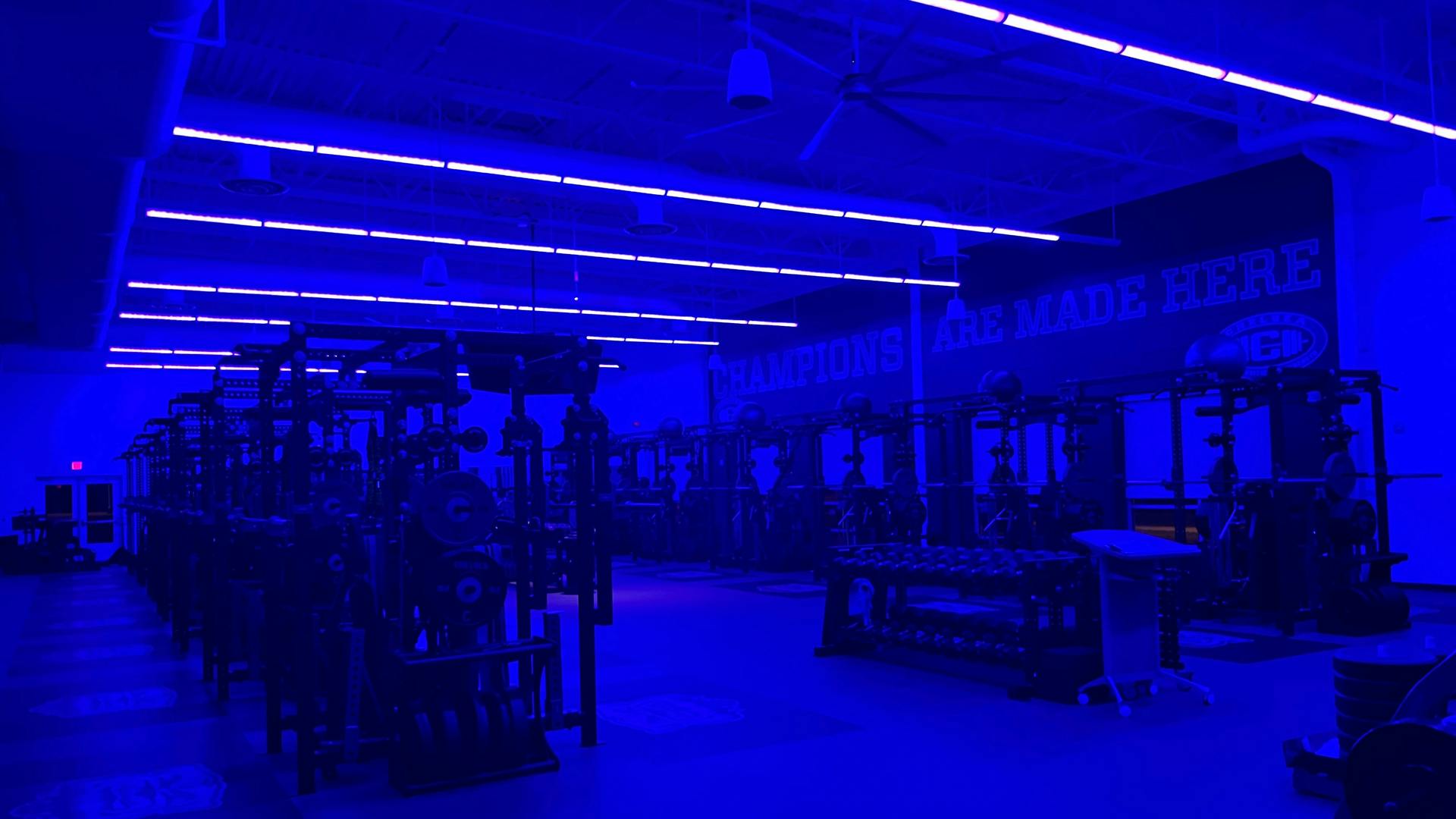 Indigo-Clean technology in use at Chelsea High School's weight room, in Michigan. Exercise facilities have been considered high-risk for transmission of harmful bacteria because of their enclosed environment, shared equipment, and close contact between users and staff. Clinically proven to reduce harmful bacteria, 405-nanometer lighting technology can be installed to provide continuous disinfection.