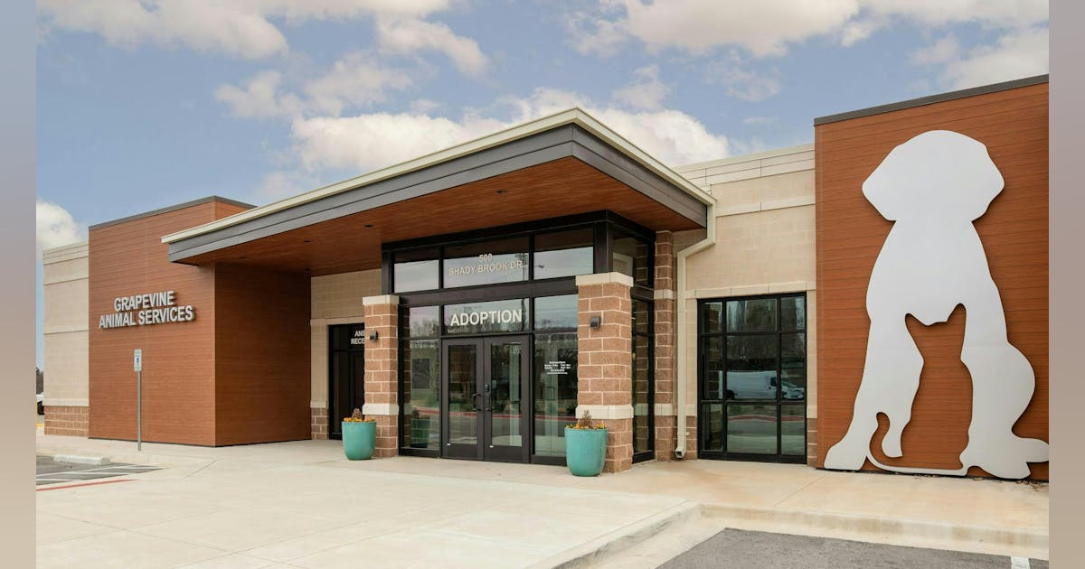 Utilizing natural and electric light in the design for a new pet ...