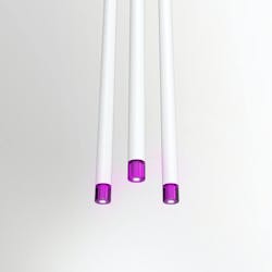 6683025387a43c67bc74c995 1910sslpia37 6683025387a43c67bc74c995 1910sslpia37