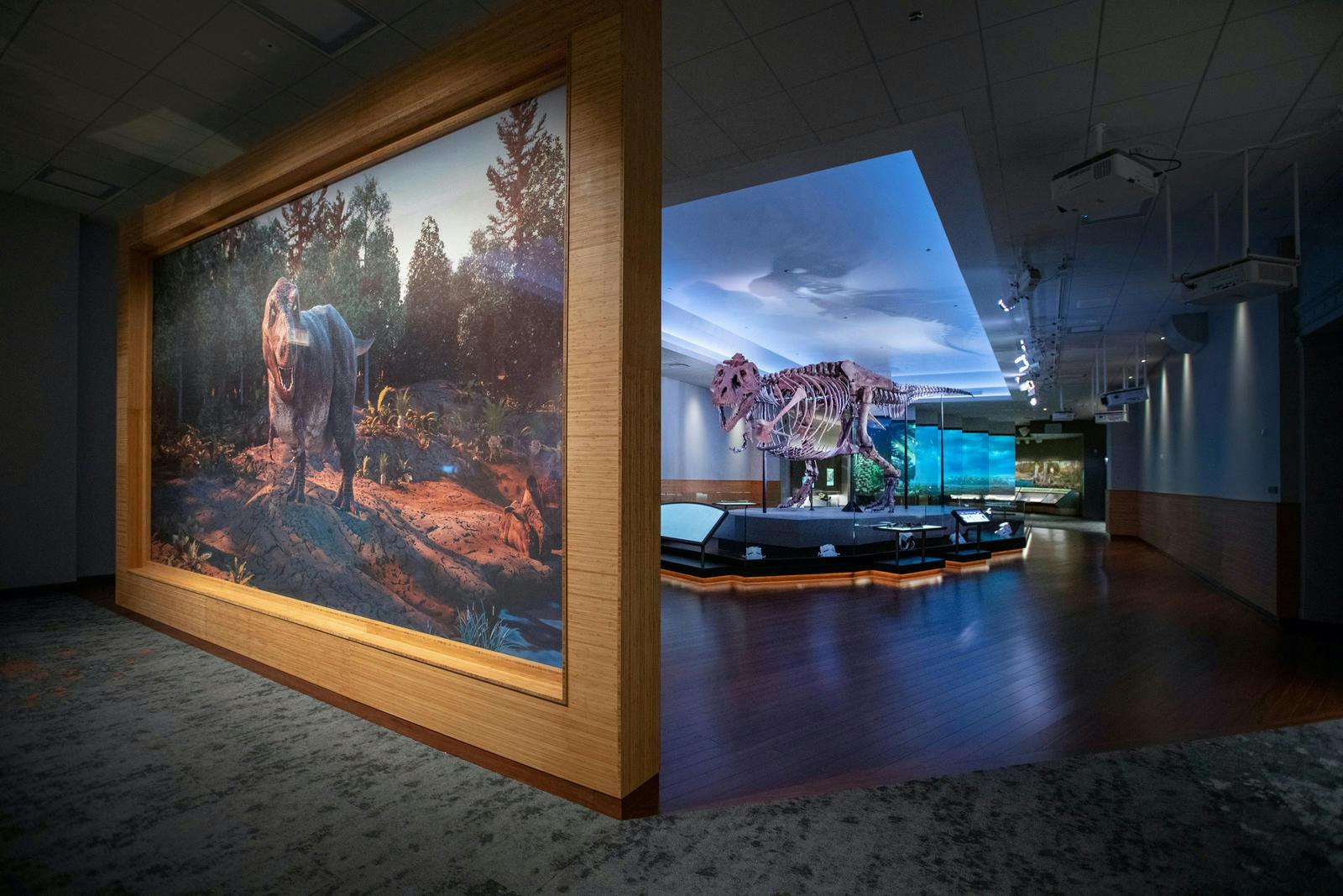 6683029f064d025d28c1abf6 1909apsps02b