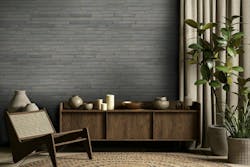 66855a2826e82d56b379fdd0 Elevation Basalt Setting 66855a2826e82d56b379fdd0 Elevation Basalt Setting