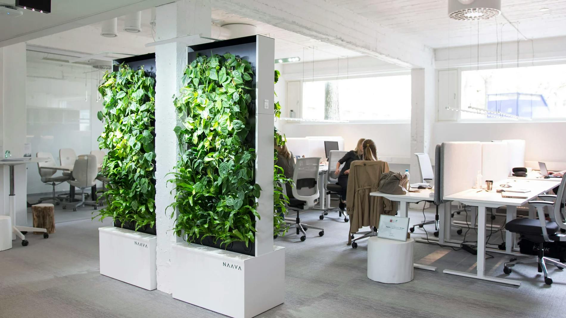 Ambius Green Walls
