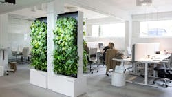Ambius Green Walls Ambius Green Walls