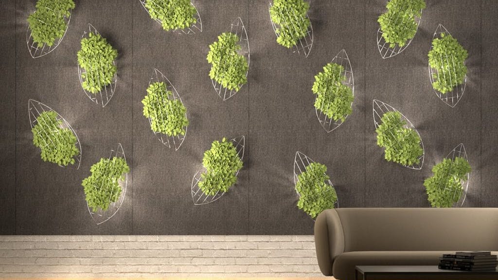 Screenleaf Hanging Vines