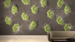 Screenleaf Hanging Vines Screenleaf Hanging Vines