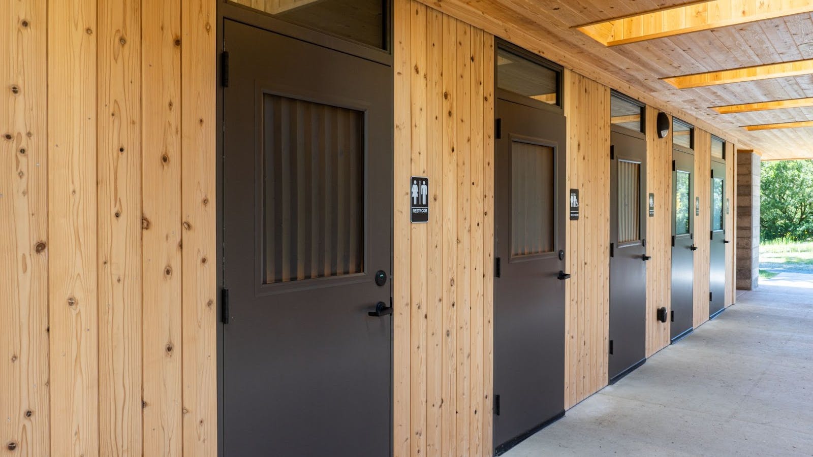 Sugi Unoiled Carbon Negative Wood