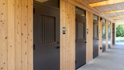 Sugi Unoiled Carbon Negative Wood Sugi Unoiled Carbon Negative Wood