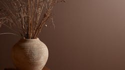 Elderton Brown Colo of the Year 2025 Graham & Brown Elderton Brown Colo of the Year 2025 Graham & Brown