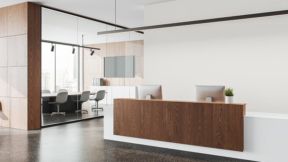 Limitless Whites Collection Behr