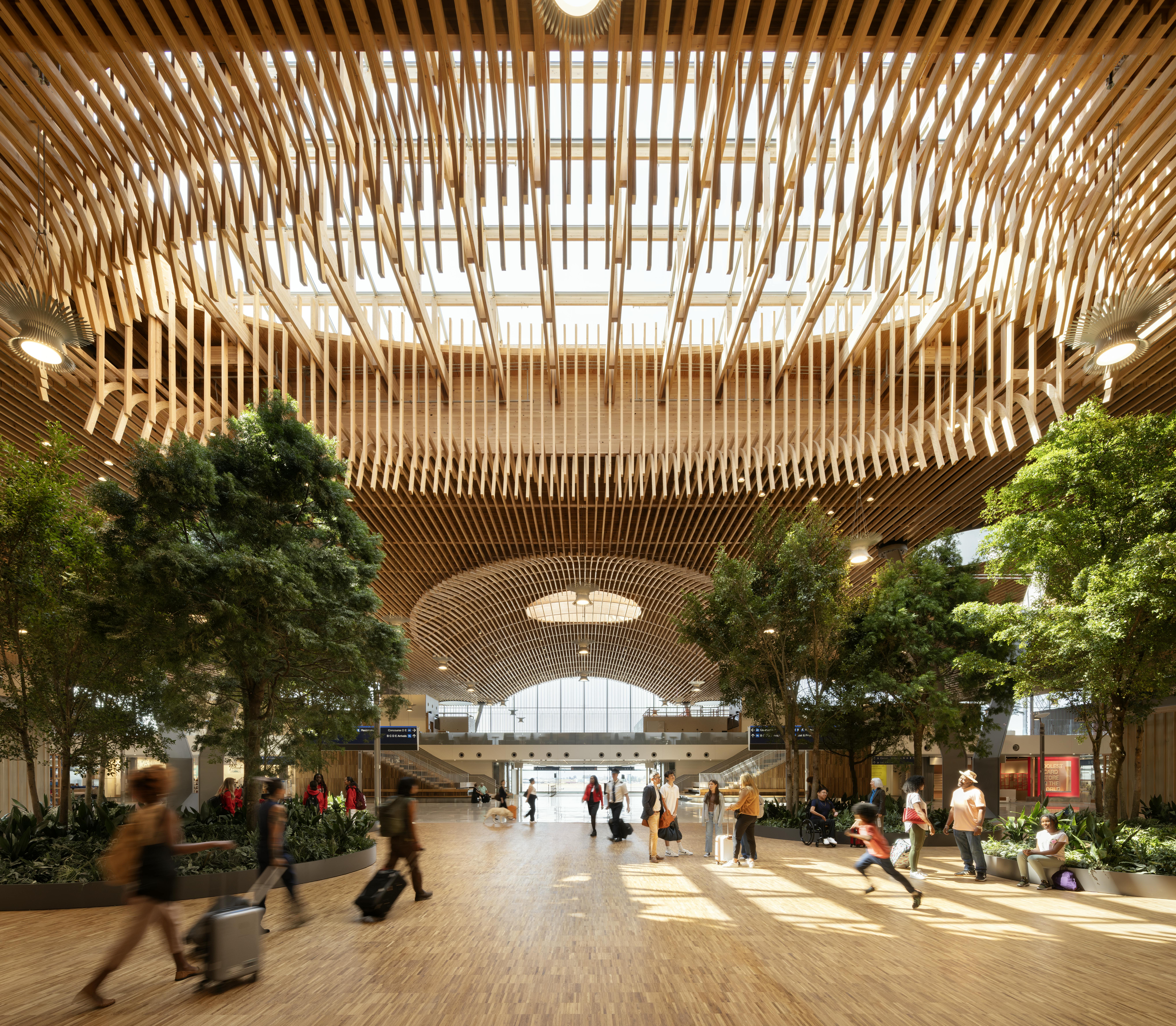 Mass Timber Roof at PDX