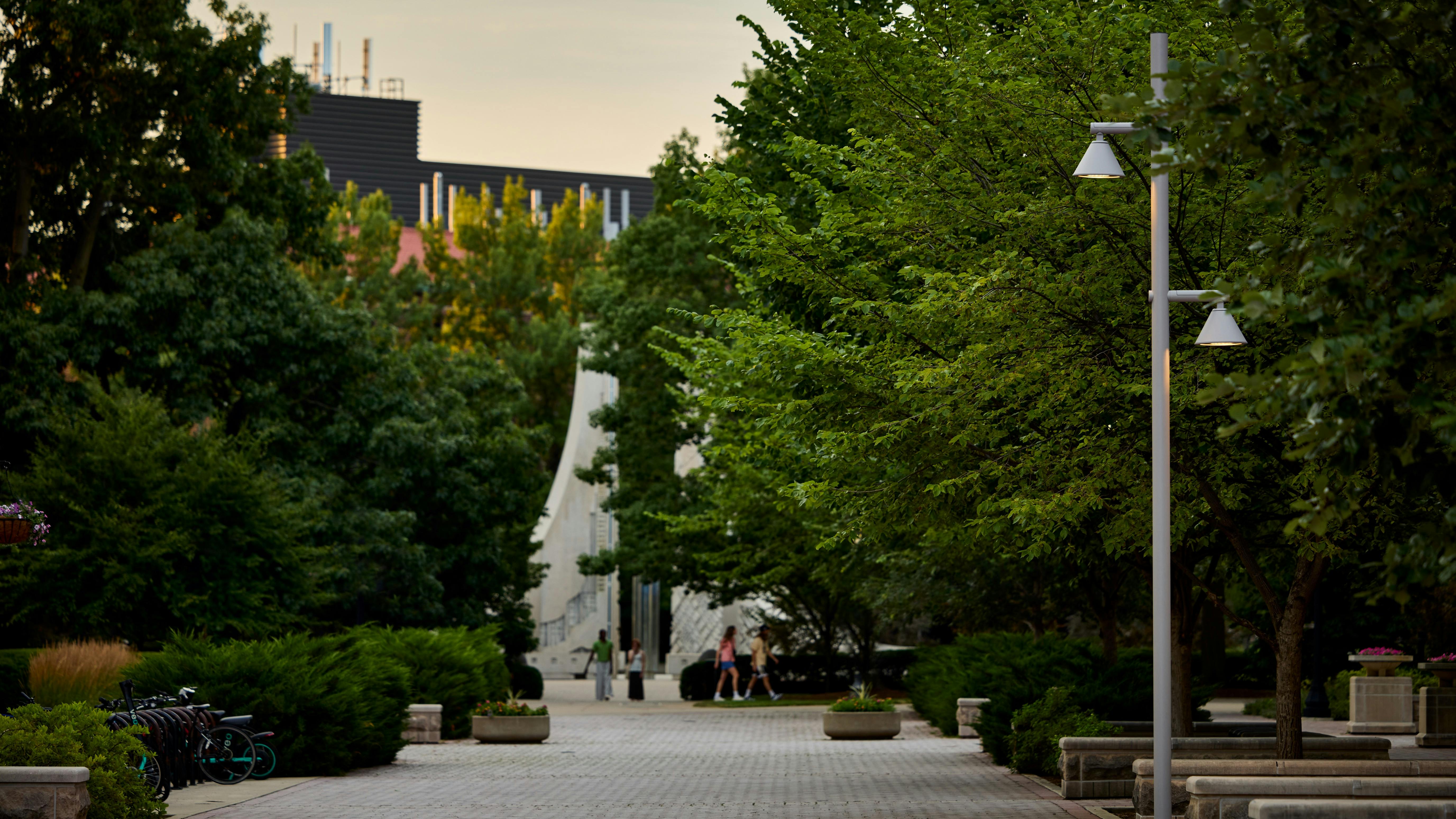 Moment Outline Lighting Line